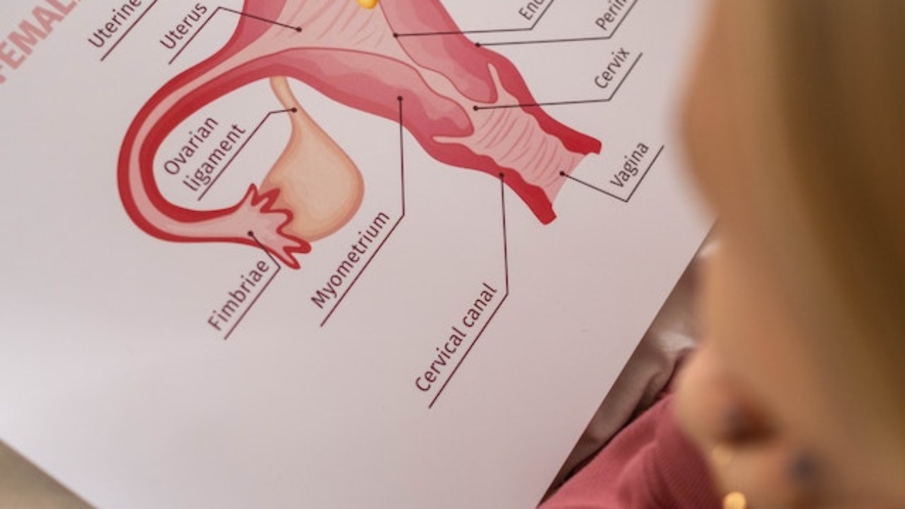 vaginal- aesthetic-prices-1